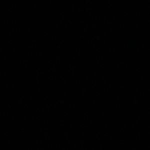 Meet your Posher, Irish